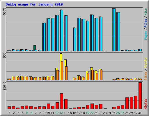 Daily usage for January 2019