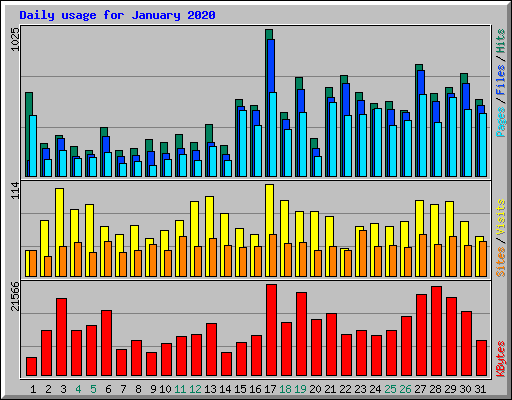 Daily usage for January 2020