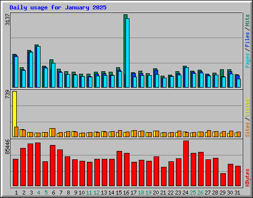 Daily usage for January 2025