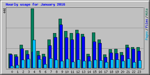 Hourly usage for January 2016