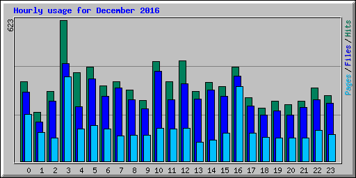 Hourly usage for December 2016