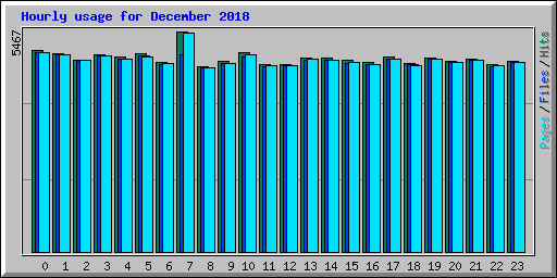 Hourly usage for December 2018