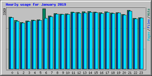 Hourly usage for January 2019