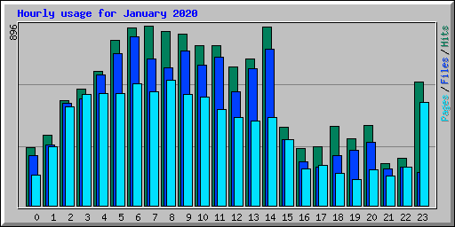 Hourly usage for January 2020