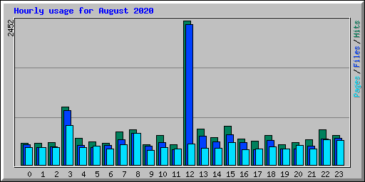Hourly usage for August 2020