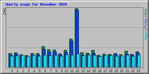 Hourly usage for November 2020