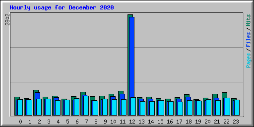Hourly usage for December 2020