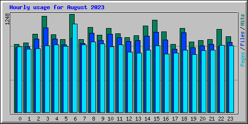 Hourly usage for August 2023