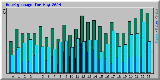 Hourly usage for May 2024