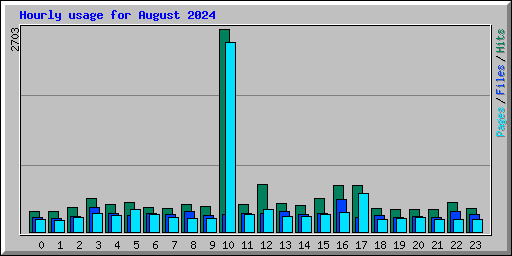 Hourly usage for August 2024