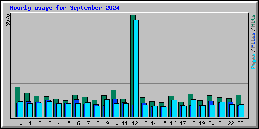 Hourly usage for September 2024