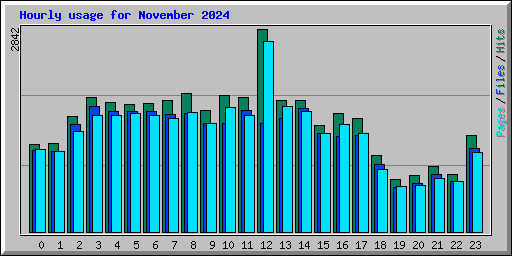 Hourly usage for November 2024