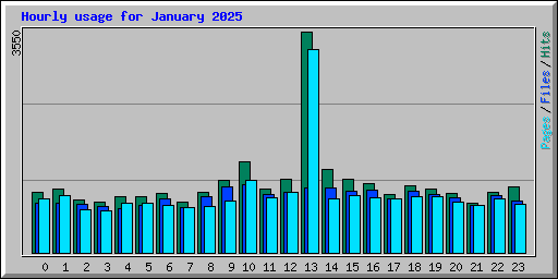 Hourly usage for January 2025