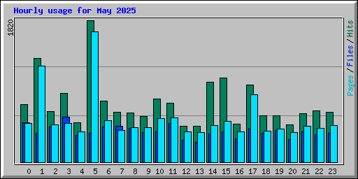 Hourly usage for May 2025