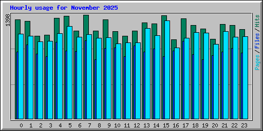 Hourly usage for November 2025