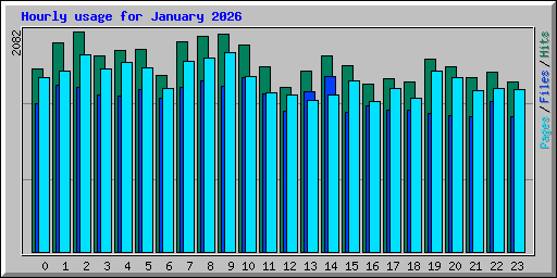 Hourly usage for January 2026