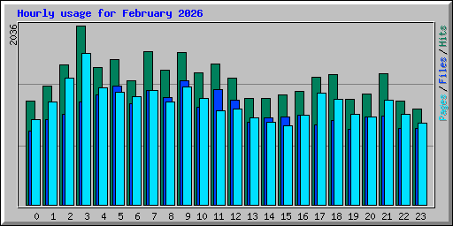 Hourly usage for February 2026